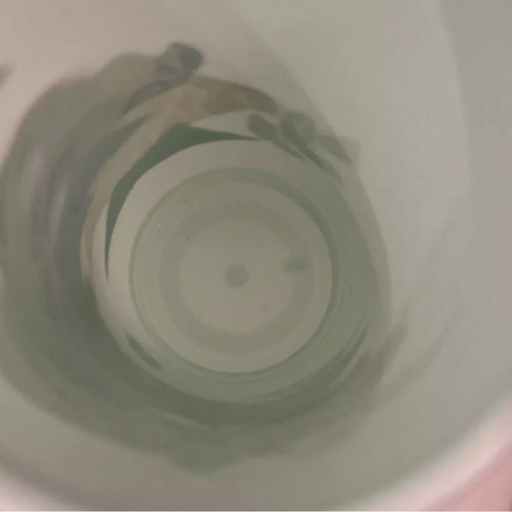 Starbucks 2024 Reusable Earth Month Cold Cup With Straw And Lid Reusable 24oz - Picture 6 of 7